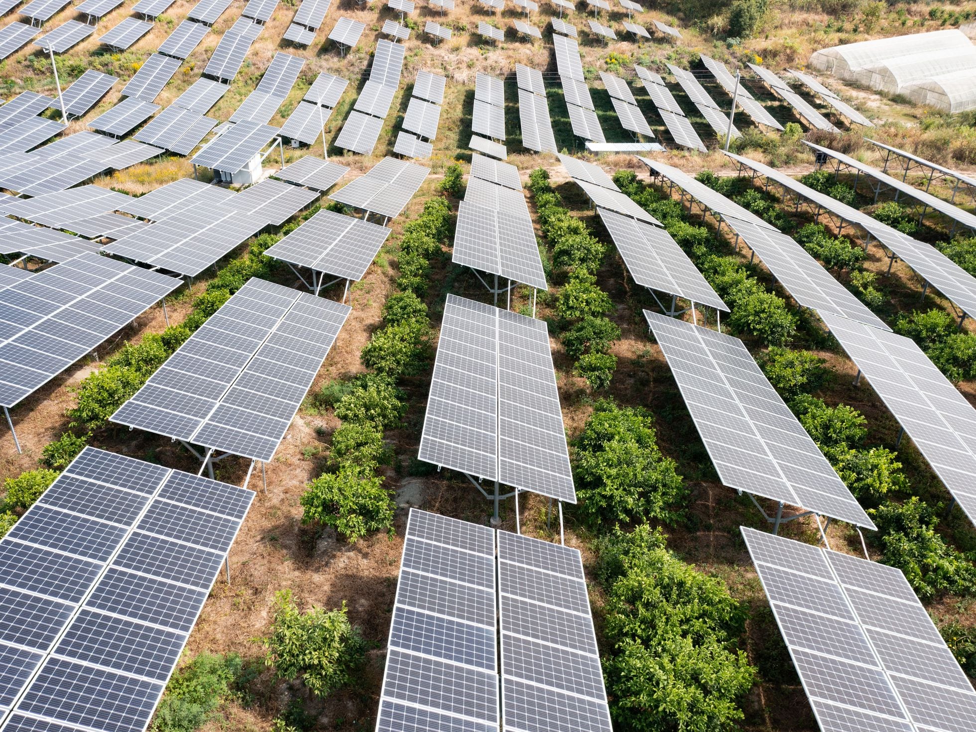 ¿Cómo está revolucionando la Energía Solar la Agricultura en el Siglo XXI?
