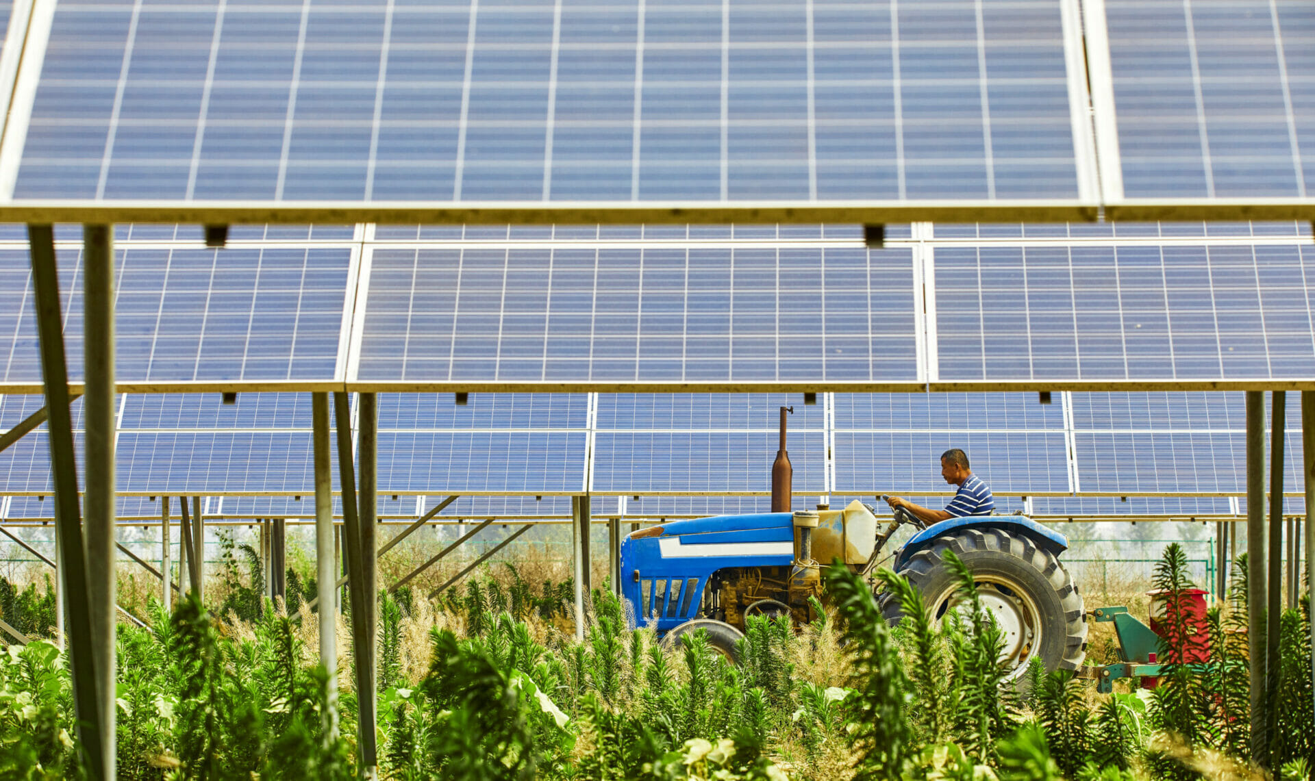 como los sistemas solares en agricultura pueden revolucionar tu produccion