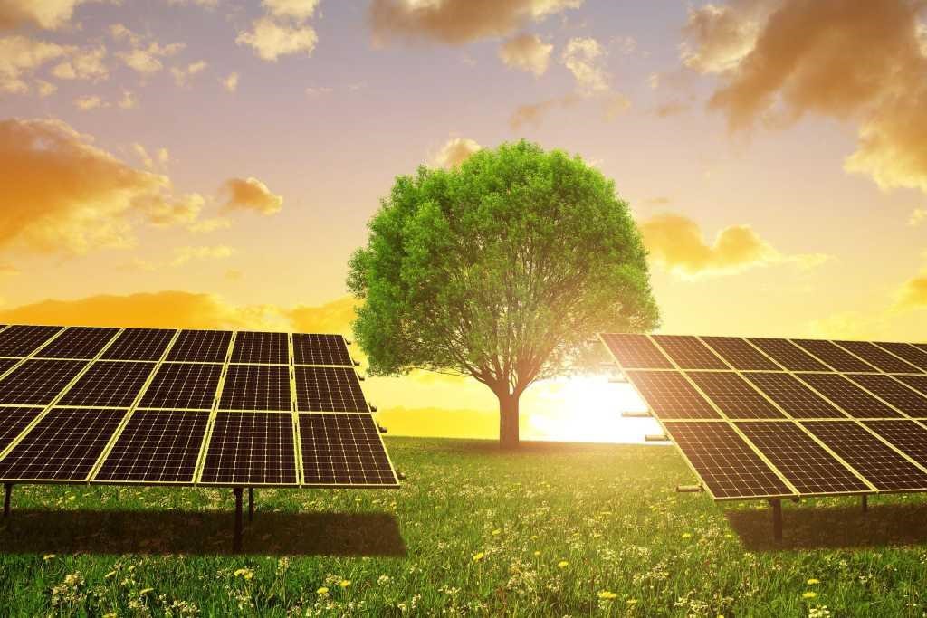 ¿Son realmente ecológicos los paneles solares? Desvelando el impacto ambiental de la energía solar